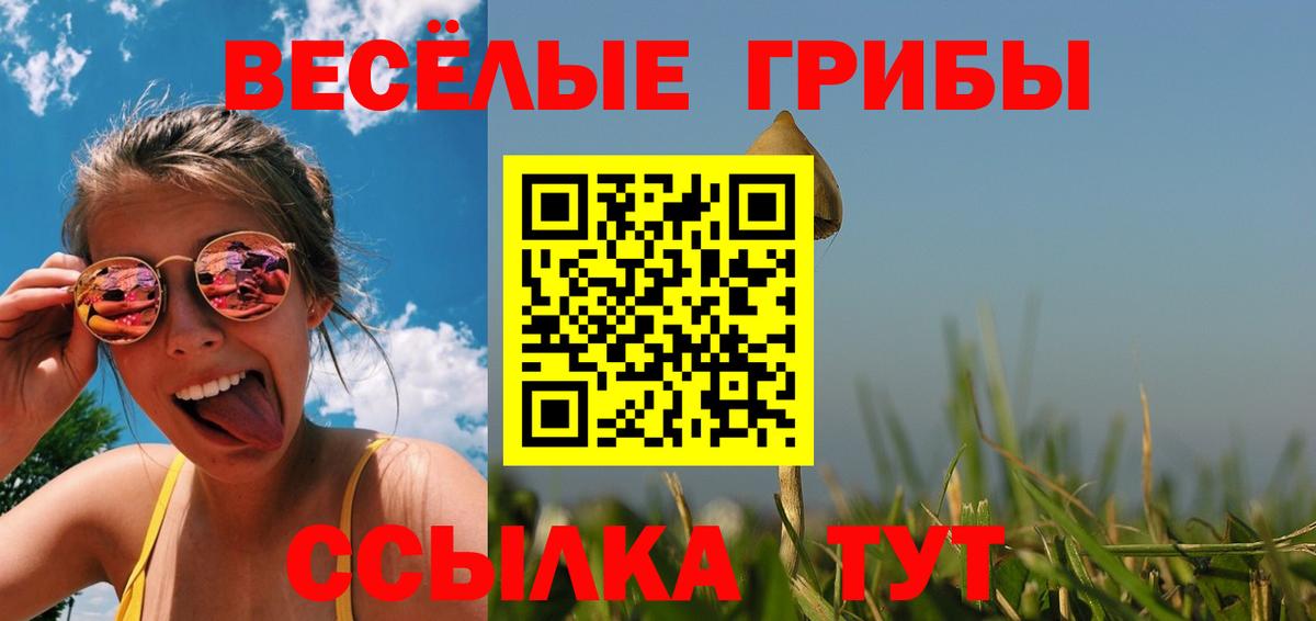 наркошоп  Галлюциногенные грибы Psilocybine cubensis  Алатырь  Вход с VPN  Галлюциногенные грибы мухоморы 