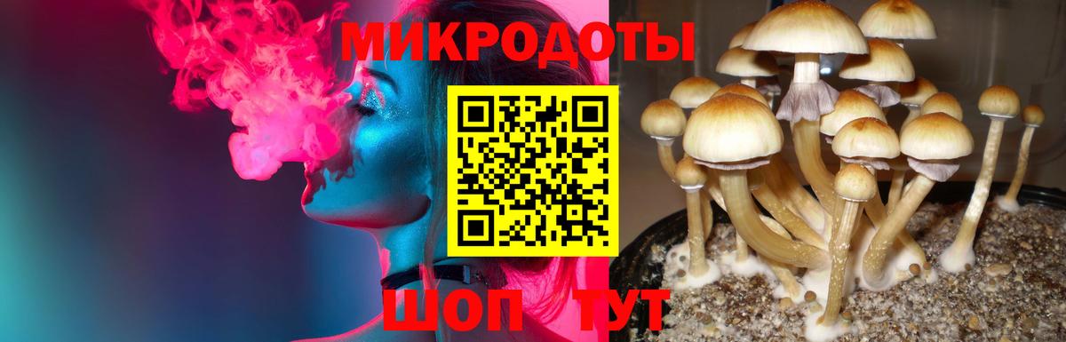 Псилоцибиновые грибы GOLDEN TEACHER Алатырь